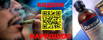 мдпв Кингисепп