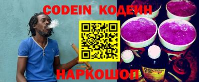 мдпв Кингисепп