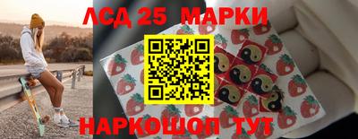 мдпв Кингисепп