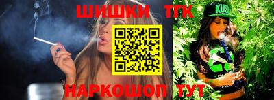 мдпв Кингисепп