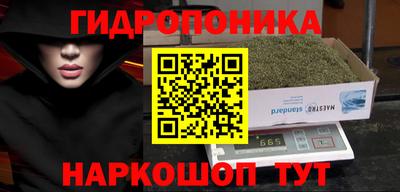 мдпв Кингисепп