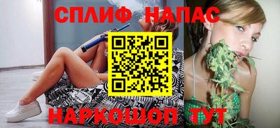 мдпв Кингисепп