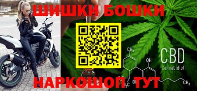 мдпв Кингисепп