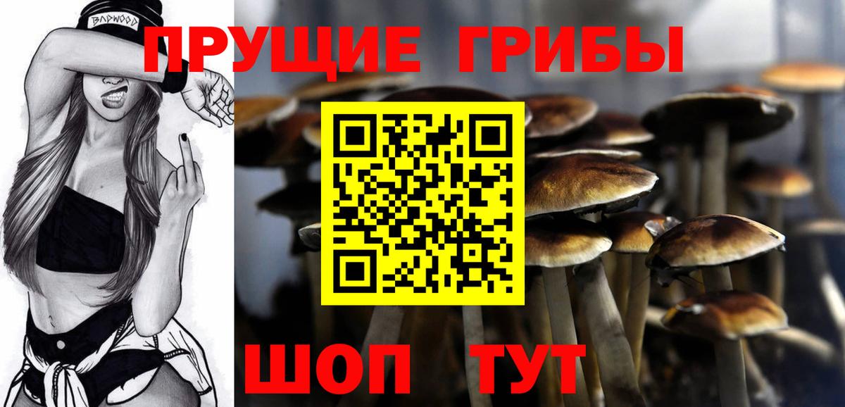 Галлюциногенные грибы Psilocybe  Вход с VPN  Тобольск 