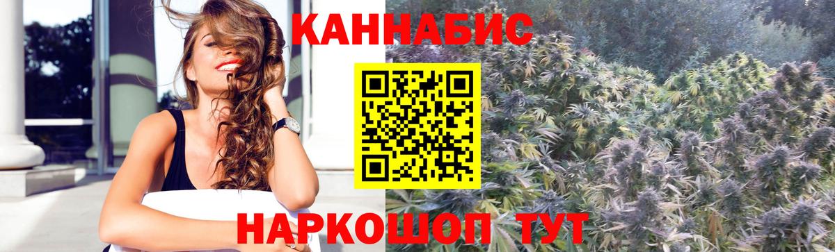Бошки Шишки OG Kush  Каннабис ГИДРОПОН  Тобольск  Канабис план  Вход с VPN 